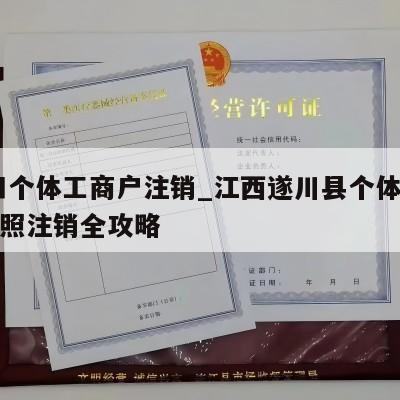  莆田个体工商户注销_江西遂川县个体工商户执照注销全攻略