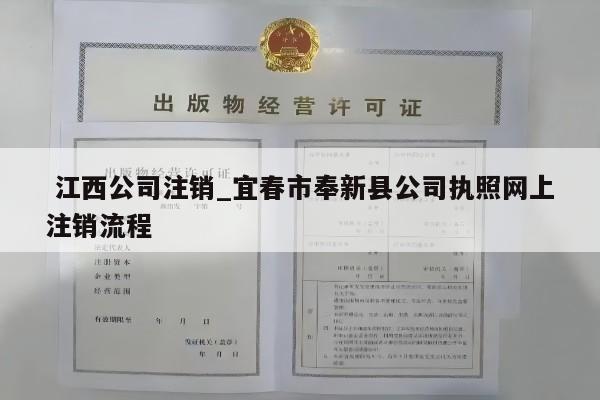  江西公司注销_宜春市奉新县公司执照网上注销流程