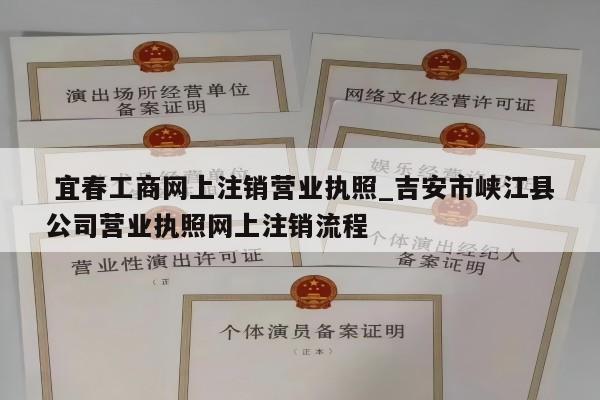  宜春工商网上注销营业执照_吉安市峡江县公司营业执照网上注销流程
