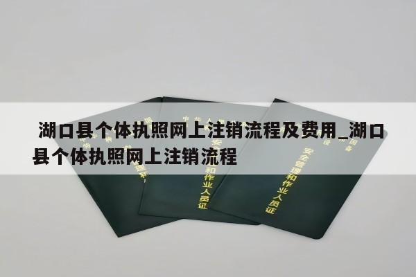  湖口县个体执照网上注销流程及费用_湖口县个体执照网上注销流程