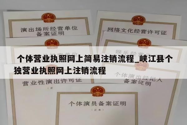  个体营业执照网上简易注销流程_峡江县个独营业执照网上注销流程