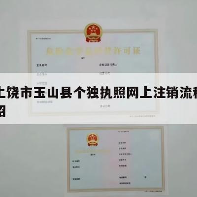 江西上饶市玉山县个独执照网上注销流程的简单介绍