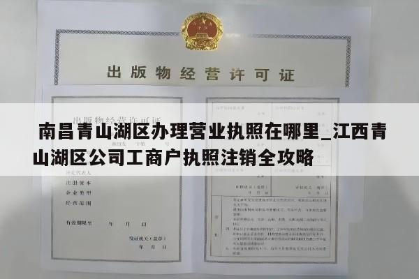  南昌青山湖区办理营业执照在哪里_江西青山湖区公司工商户执照注销全攻略