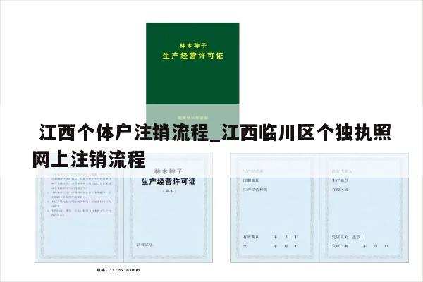  江西个体户注销流程_江西临川区个独执照网上注销流程