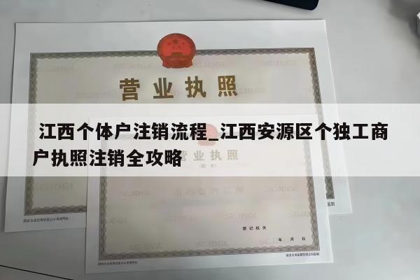  江西个体户注销流程_江西安源区个独工商户执照注销全攻略