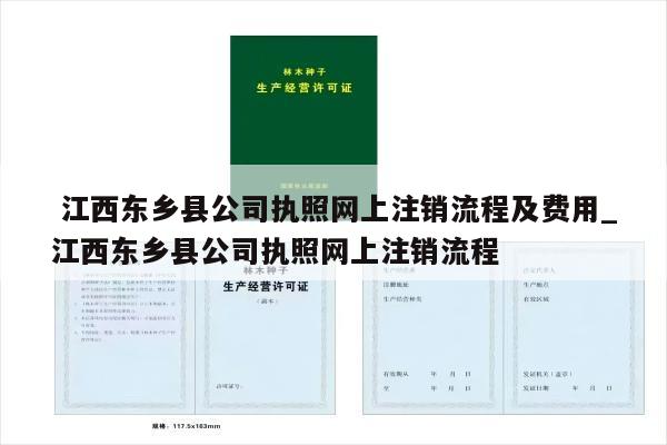  江西东乡县公司执照网上注销流程及费用_江西东乡县公司执照网上注销流程
