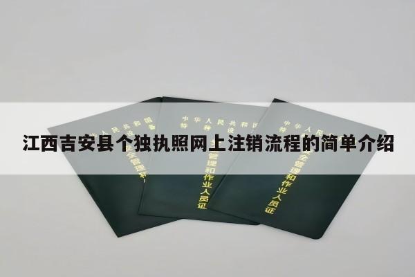 江西吉安县个独执照网上注销流程的简单介绍