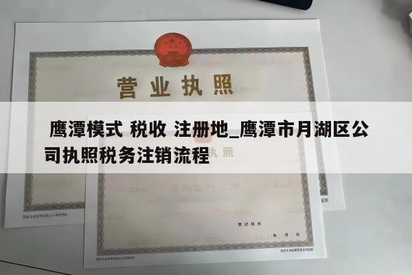  鹰潭模式 税收 注册地_鹰潭市月湖区公司执照税务注销流程