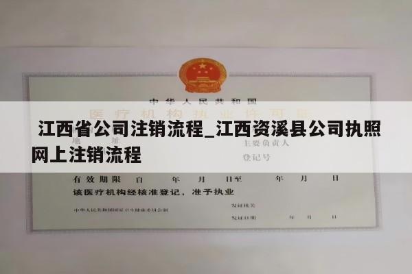  江西省公司注销流程_江西资溪县公司执照网上注销流程