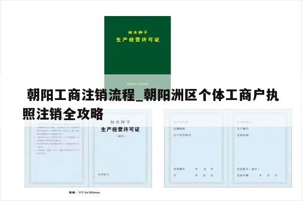 朝阳工商注销流程_朝阳洲区个体工商户执照注销全攻略
