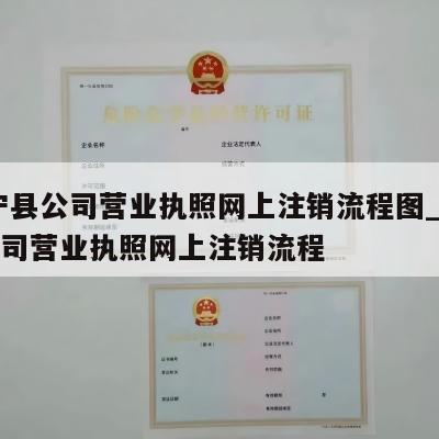  武宁县公司营业执照网上注销流程图_武宁县公司营业执照网上注销流程