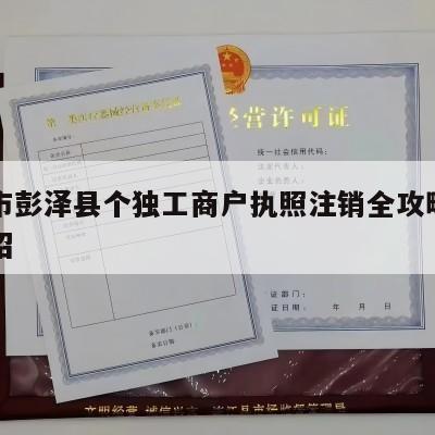 九江市彭泽县个独工商户执照注销全攻略的简单介绍
