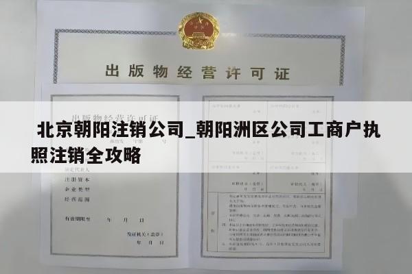  北京朝阳注销公司_朝阳洲区公司工商户执照注销全攻略