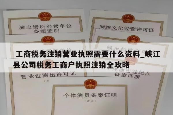  工商税务注销营业执照需要什么资料_峡江县公司税务工商户执照注销全攻略