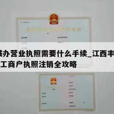  丰城办营业执照需要什么手续_江西丰城市公司工商户执照注销全攻略