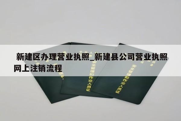  新建区办理营业执照_新建县公司营业执照网上注销流程