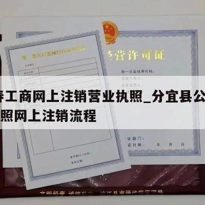  宜春工商网上注销营业执照_分宜县公司营业执照网上注销流程