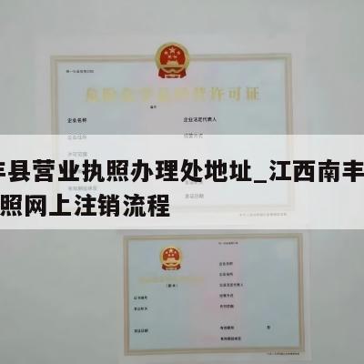  南丰县营业执照办理处地址_江西南丰县公司执照网上注销流程