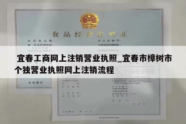  宜春工商网上注销营业执照_宜春市樟树市个独营业执照网上注销流程