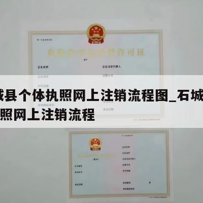  石城县个体执照网上注销流程图_石城县个体执照网上注销流程