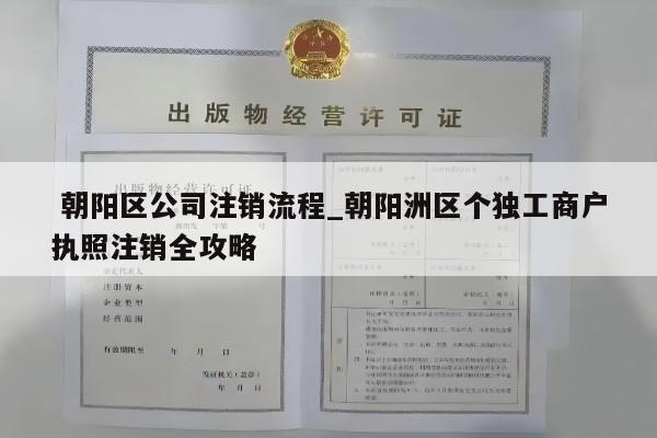  朝阳区公司注销流程_朝阳洲区个独工商户执照注销全攻略