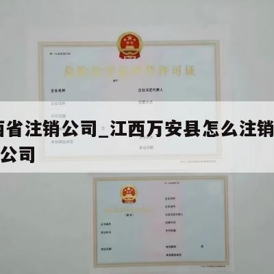 江西省注销公司_江西万安县怎么注销营业执照公司