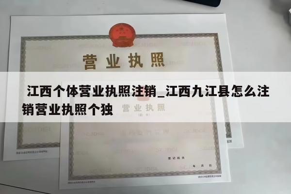  江西个体营业执照注销_江西九江县怎么注销营业执照个独