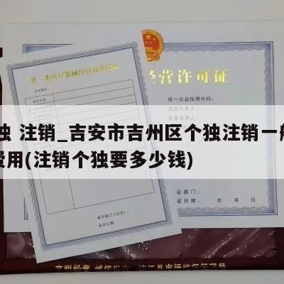  个独 注销_吉安市吉州区个独注销一般多少费用(注销个独要多少钱)