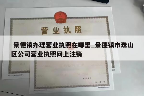  景德镇办理营业执照在哪里_景德镇市珠山区公司营业执照网上注销