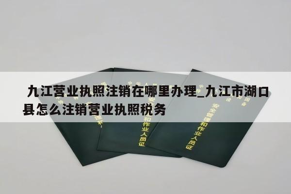  九江营业执照注销在哪里办理_九江市湖口县怎么注销营业执照税务