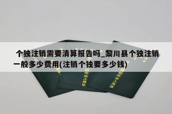  个独注销需要清算报告吗_黎川县个独注销一般多少费用(注销个独要多少钱)