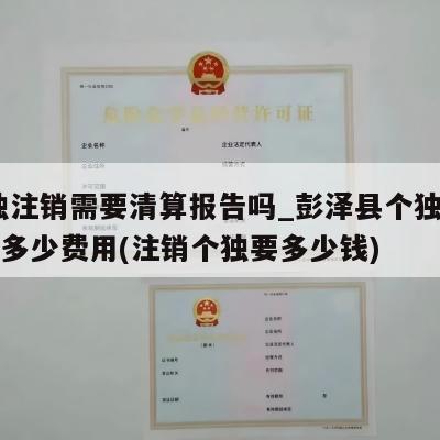  个独注销需要清算报告吗_彭泽县个独注销一般多少费用(注销个独要多少钱)
