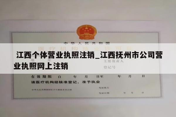  江西个体营业执照注销_江西抚州市公司营业执照网上注销