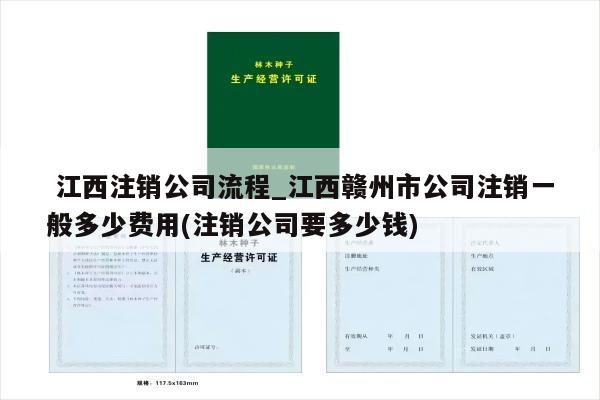  江西注销公司流程_江西赣州市公司注销一般多少费用(注销公司要多少钱)