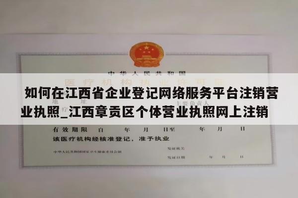  如何在江西省企业登记网络服务平台注销营业执照_江西章贡区个体营业执照网上注销