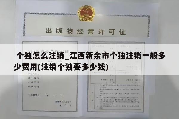 个独怎么注销_江西新余市个独注销一般多少费用(注销个独要多少钱)