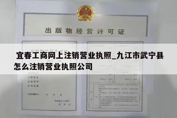  宜春工商网上注销营业执照_九江市武宁县怎么注销营业执照公司