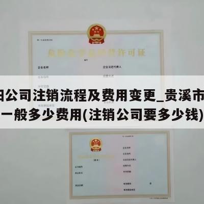  贵阳公司注销流程及费用变更_贵溪市公司注销一般多少费用(注销公司要多少钱)