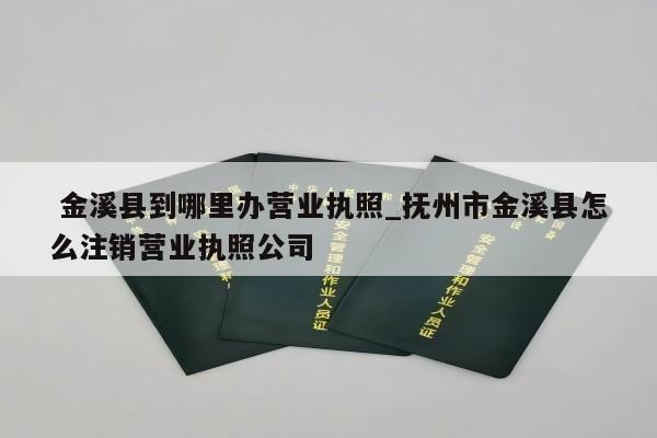  金溪县到哪里办营业执照_抚州市金溪县怎么注销营业执照公司
