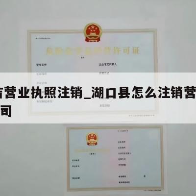  安吉营业执照注销_湖口县怎么注销营业执照公司