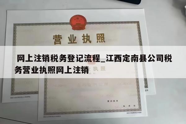  网上注销税务登记流程_江西定南县公司税务营业执照网上注销