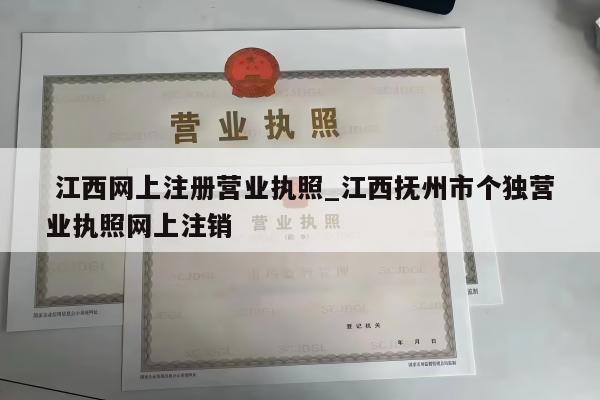  江西网上注册营业执照_江西抚州市个独营业执照网上注销