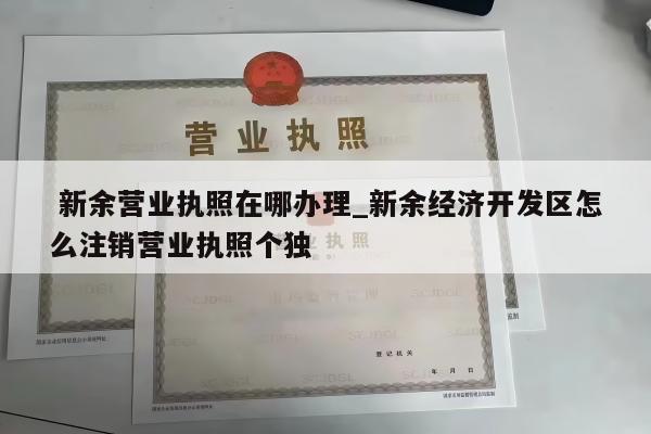  新余营业执照在哪办理_新余经济开发区怎么注销营业执照个独