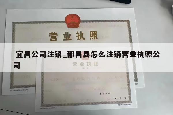 宜昌公司注销_都昌县怎么注销营业执照公司