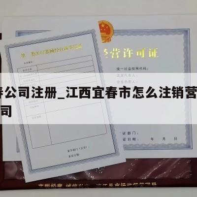  宜春公司注册_江西宜春市怎么注销营业执照公司