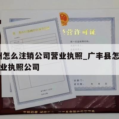  广州怎么注销公司营业执照_广丰县怎么注销营业执照公司