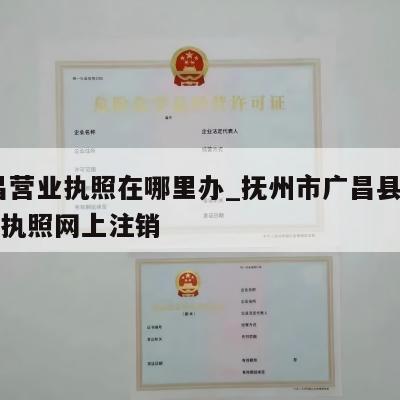  广昌营业执照在哪里办_抚州市广昌县公司营业执照网上注销