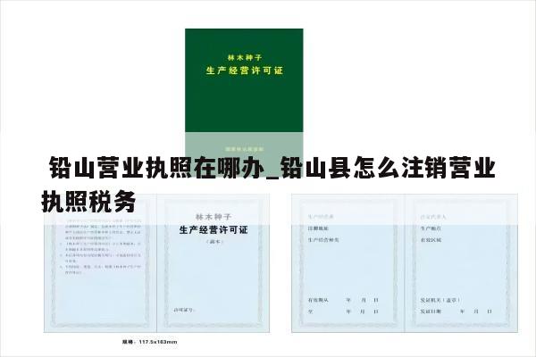  铅山营业执照在哪办_铅山县怎么注销营业执照税务