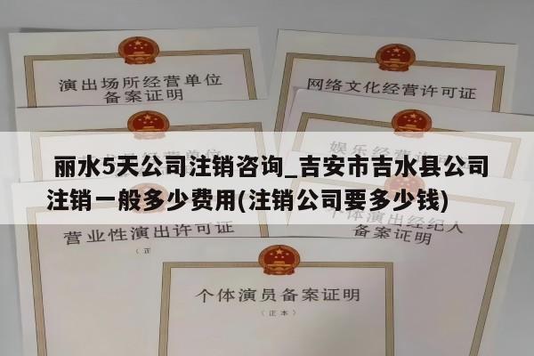  丽水5天公司注销咨询_吉安市吉水县公司注销一般多少费用(注销公司要多少钱)