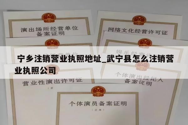 宁乡注销营业执照地址_武宁县怎么注销营业执照公司